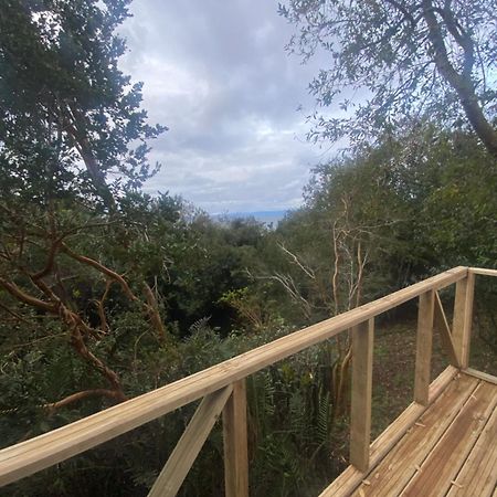 Bordemundo B&B Y Cabanas Пуэрто-Варас Экстерьер фото